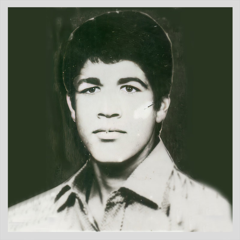 محمود دلاور